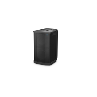 F1 SUBWOOFER 2 /10? 1000W F1 SYSTEMS BOSE